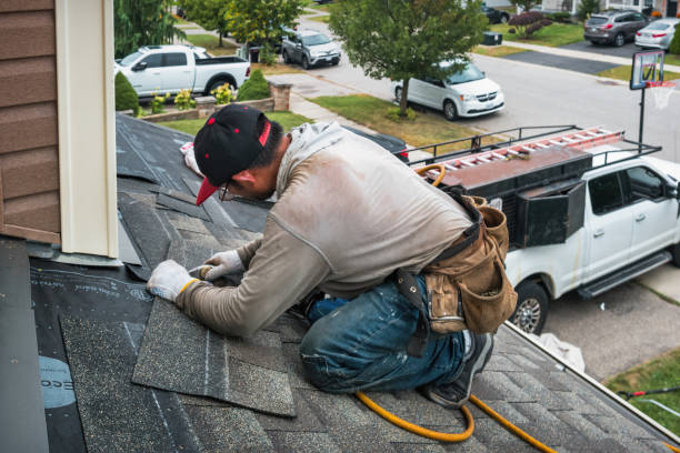Professional Roof Repair technician working in Snover, MI